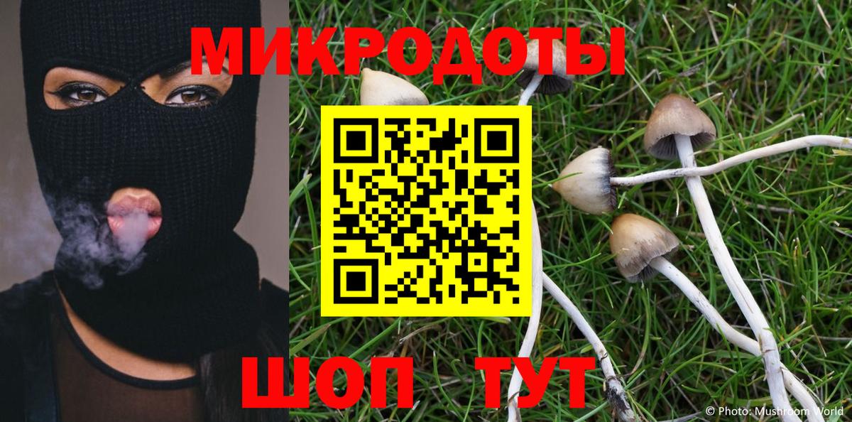 Псилоцибиновые грибы мицелий Мирный