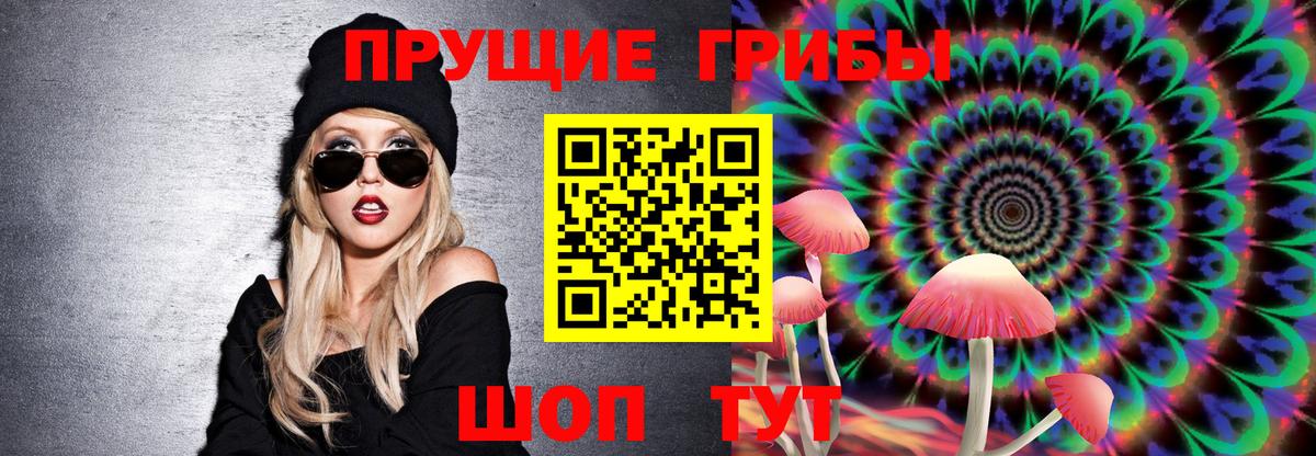 где купить наркоту  Вход с VPN  Галлюциногенные грибы Magic Shrooms  Мирный  Галлюциногенные грибы MAGIC MUSHROOMS 