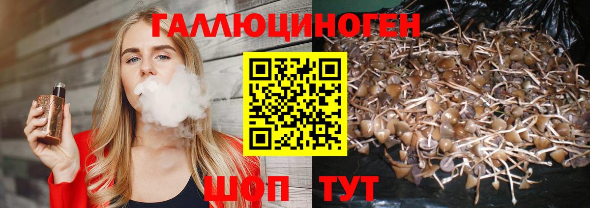 Мирный  ГАШ  Вход с VPN  НБОМе  Мефедрон   Кокаин 