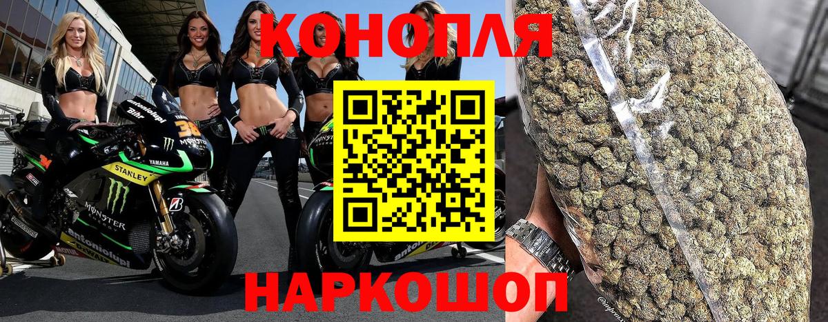 Шишки марихуана планчик Мирный